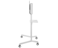 Neomounts NS-M1250WHITE - 1060673 - zdjęcie 2